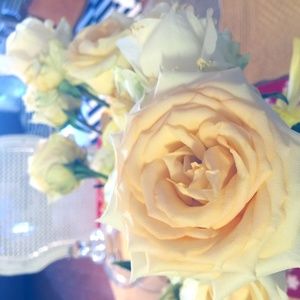 Meet your Posher, Mani